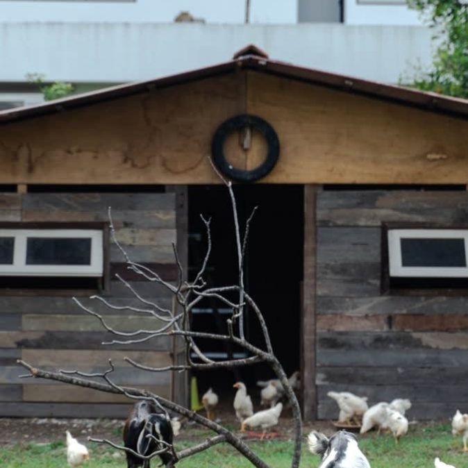 seed organic farm wholesome dining